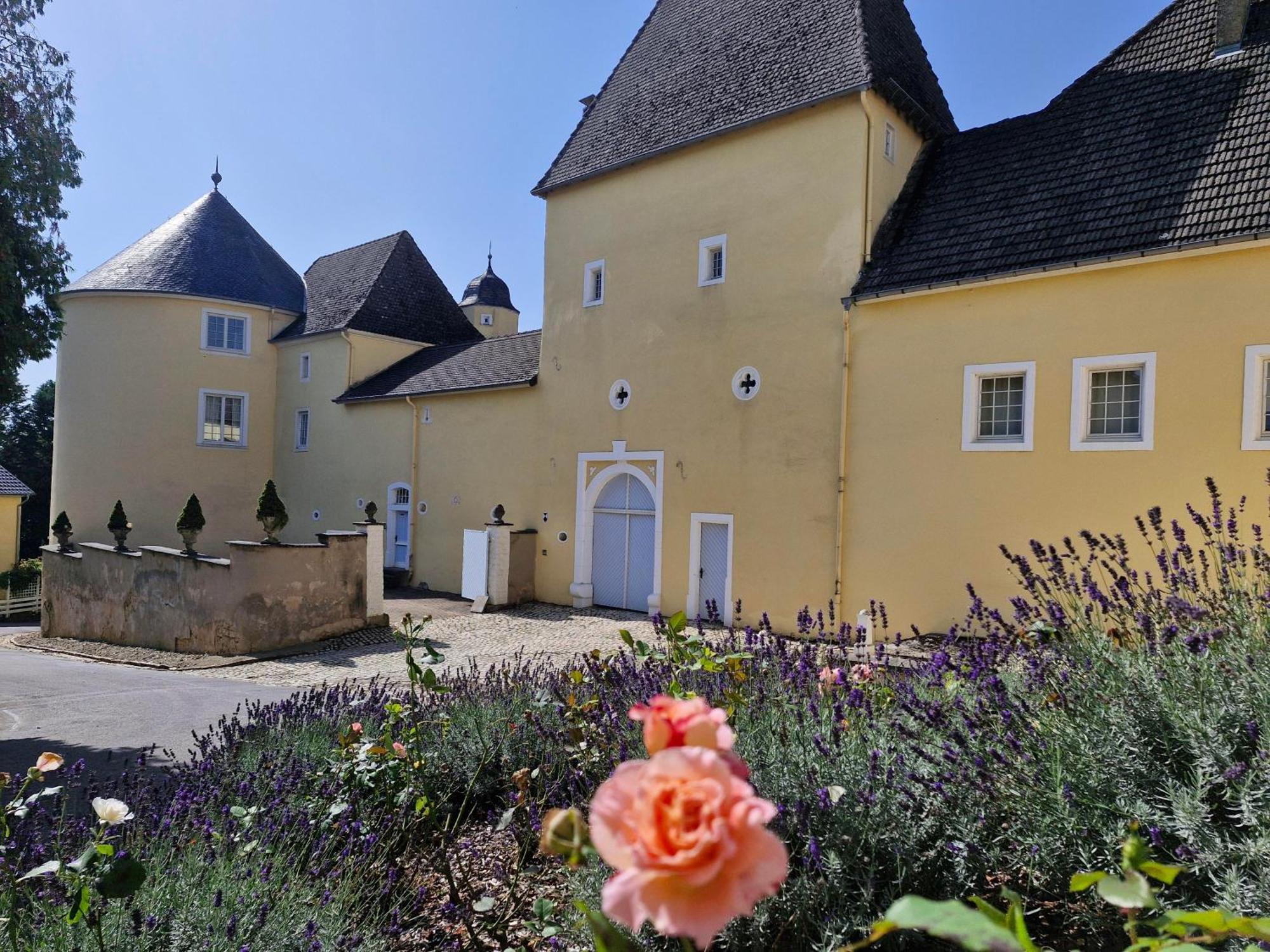 Schloss Thorn Palzem Exteriér fotografie
